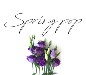 Spring Edit and Discount